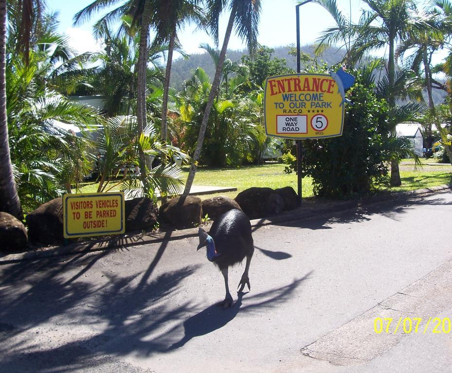 Hôtel Flying Fish Point Tourist Park à Innisfail Extérieur photo